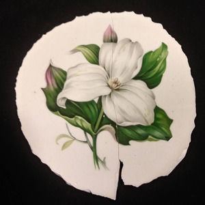 Mosaic Supply American Limoges Trillium Gold n White Tiles with Floral Focal